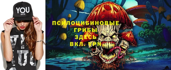 спайс Белокуриха